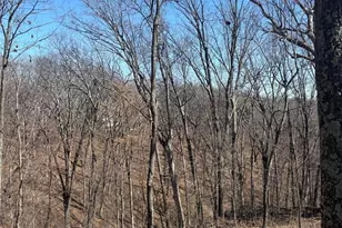 7350 Deborah Ln, Hillsboro, MO 63050 - Photo 11