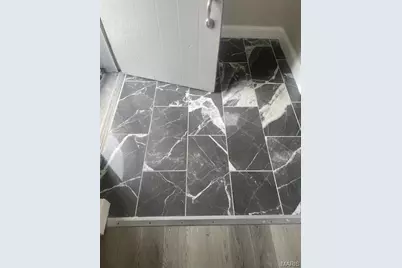 8528 Riverview Boulevard, Saint Louis, MO 63147 - Photo 5