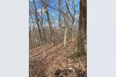 0 Yates, House Springs, MO 63051 - Photo 7