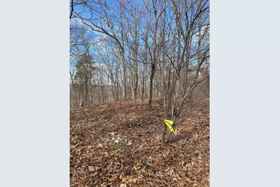 0 Yates, House Springs, MO 63051 - Photo 5