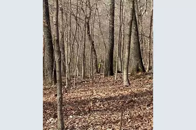 0 Yates, House Springs, MO 63051 - Photo 9