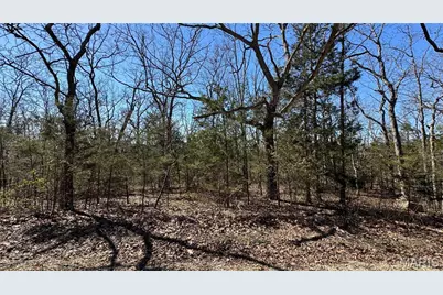 0 Holiday Shores Drive, Bismarck, MO 63624 - Photo 7