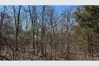 0 Holiday Shores Drive, Bismarck, MO 63624 - Photo 5