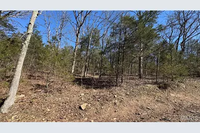 0 Holiday Shores Drive, Bismarck, MO 63624 - Photo 11