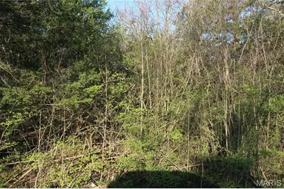 [Address not provided], Cedar Hill, MO 63016 - Photo 5