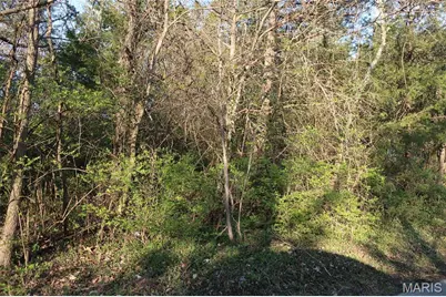 [Address not provided], Cedar Hill, MO 63016 - Photo 7