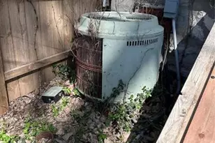 2108 Chippewa St, Saint Louis, MO 63118 - Photo 29