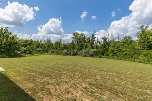 308 Blackberry Ln, Bismarck, MO 63624 - Photo 57