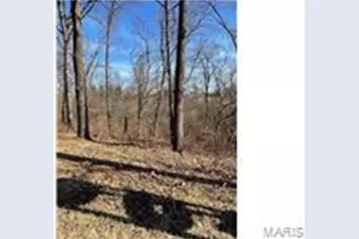 0 Hwy 79, Louisiana, MO 63353 - Photo 1