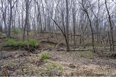 0 Pike 224, Eolia, MO 63344 - Photo 33