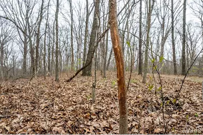 0 Pike 224, Eolia, MO 63344 - Photo 35