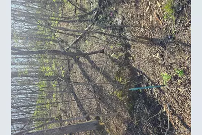 6518 S Lakeshore Drive, Hillsboro, MO 63050 - Photo 27