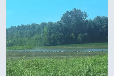 209 Pike 209, Ellisville, MO 63336 - Photo 13