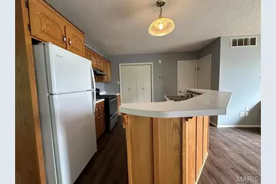 19203 Wayne Route D, Wappapello, MO 63966 - Photo 21