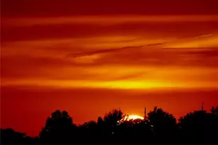 2413 Fiddlers Close Rd, Washington, MO 63090 - Photo 15