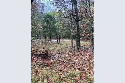 163 Madison Cr 410, Fredericktown, MO 63645 - Photo 1