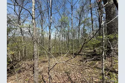 125 Jabin Farm Road, Wright City, MO 63390 - Photo 1