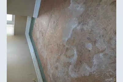 5531 Clemens Avenue, Saint Louis, MO 63112 - Photo 37