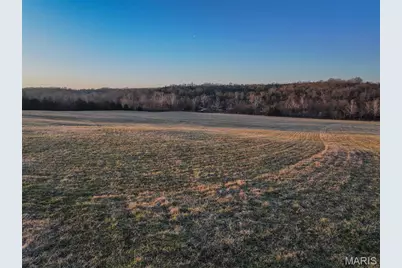 13336 Mount Olive Road, De Soto, MO 63020 - Photo 21