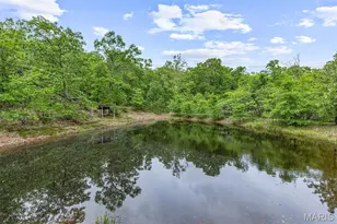 1521 Pendleton Rd, Farmington, MO 63640 - Photo 5