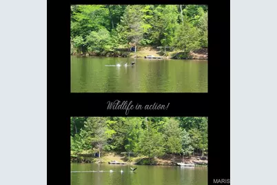 102 N Kings Road, Marthasville, MO 63357 - Photo 11