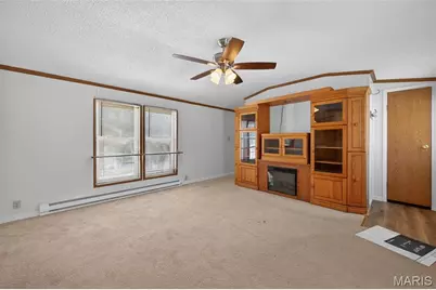 124 New Hope Road, Elsberry, MO 63343 - Photo 9