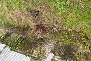 1243 Church St, Hannibal, MO 63401 - Photo 1