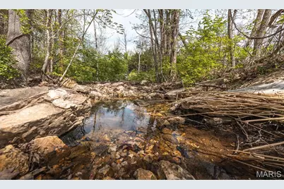 1601 Hawkwood Trail, De Soto, MO 63020 - Photo 7