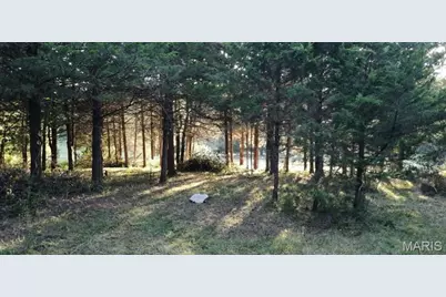 900 Silver Fox Drive, Wright City, MO 63390 - Photo 11