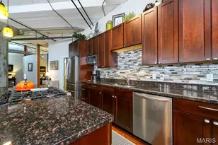 1619 Washington Ave, Saint Louis, MO 63103 - Photo 13