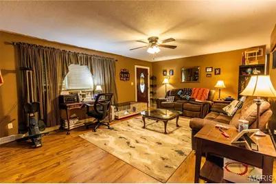 211 E Elm, Bertrand, MO 63823 - Photo 5