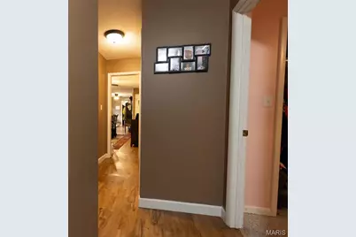 211 E Elm, Bertrand, MO 63823 - Photo 15