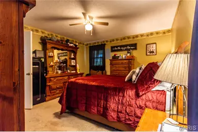 211 E Elm, Bertrand, MO 63823 - Photo 23