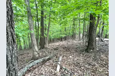 1513 Wolf Trail Road, Wildwood, MO 63021 - Photo 7