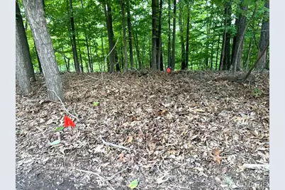 1513 Wolf Trail Road, Wildwood, MO 63021 - Photo 1