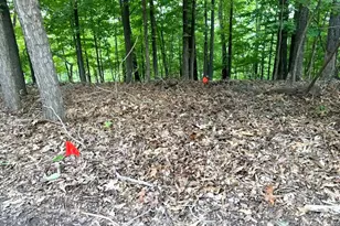 1513 Wolf Trail Rd, Wildwood, MO 63021 - Photo 1