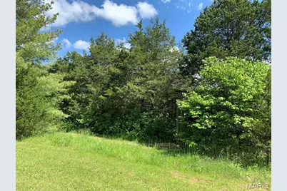 420 Nancy Drive, Lonedell, MO 63060 - Photo 49