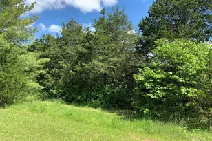 420 Nancy Dr, Lonedell, MO 63060 - Photo 49