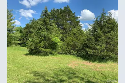 420 Nancy Drive, Lonedell, MO 63060 - Photo 51