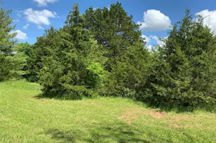 420 Nancy Dr, Lonedell, MO 63060 - Photo 51