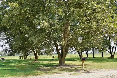 7526 State Hwy 164, Cardwell, MO 63829 - Photo 5