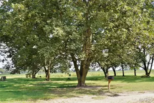 7526 State Hwy 164, Cardwell, MO 63829 - Photo 5