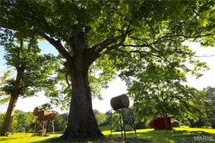 291 Hwy O, Poplar Bluff, MO 63967 - Photo 41