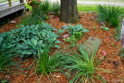 31514 Old Highway 5, Lebanon, MO 65536 - Photo 61