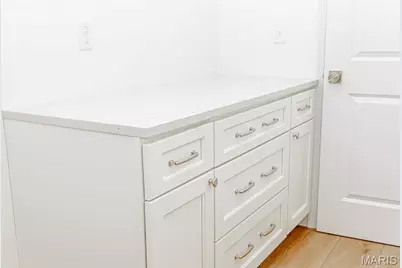 310 Red Wing Court, Troy, MO 63379 - Photo 49