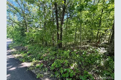 0 Cyclone Road, Cadet, MO 63630 - Photo 5