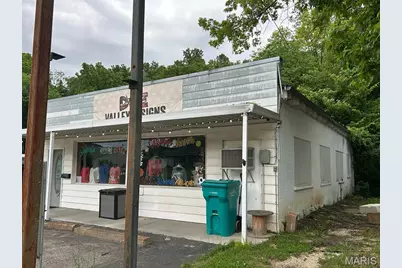 305 Pine Street, Shelbyville, MO 65565 - Photo 3