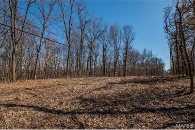 615 Corisande Hill Road, Fenton, MO 63026 - Photo 23