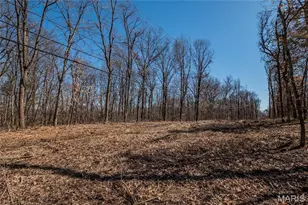 615 Corisande Hill Rd, Fenton, MO 63026 - Photo 23