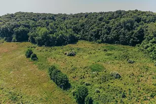 615 Corisande Hill Rd, Fenton, MO 63026 - Photo 51